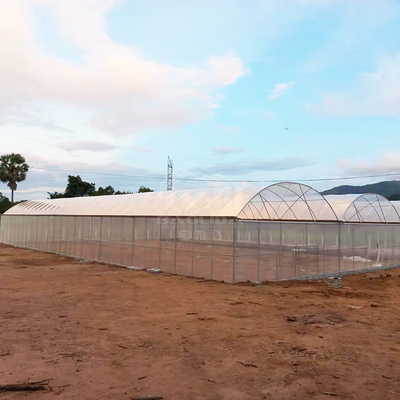 BAOLIDA 24x40m सिंगल-स्पैन ग्रीनहाउस 150 माइक्रोन PE फिल्म के साथ