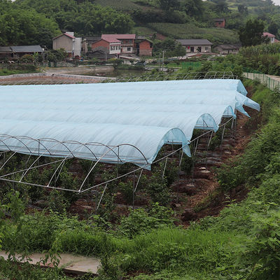 Tropical High Tunnel Multi-span Film Rain Shelter Greenhouse for Plants Cultivation