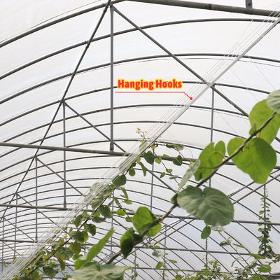 PE Film Covering Rain Shelter Greenhouse with Hot Galvanized Steel Frame and Customizable Size for Plants Cultivation
