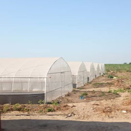 सिंगल स्पैन प्लास्टिक टनल ग्रीनहाउस पॉलीथीन फार्म कृषि सहायता
