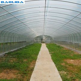 सिंगल स्पैन प्लास्टिक टनल ग्रीनहाउस पॉलीथीन फार्म कृषि सहायता