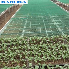 कृषि प्लास्टिक ग्रीनहाउस बेंच किफायती व्यावहारिक ईबीबी और प्रवाह