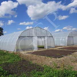 क्लासिक स्टैंडर्ड ग्रीनहाउस टनल प्लास्टिक शीट सब्जी विकास को कवर करती है