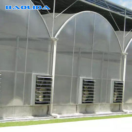 स्वचालित प्रणाली मल्टी-स्पैन ग्रीनहाउस पीसी पॉली कार्बोनेट फिल्म ग्रीनहाउस स्टील संरचना