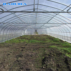 टमाटर के विकास के लिए कृषि उच्च घेरा तम्बू ग्रीनहाउस स्टील फ्रेम