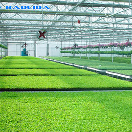 सब्जी उगाने वाली सुरंग मल्टी स्पैन ग्रीनहाउस प्लास्टिक फिल्म सामग्री