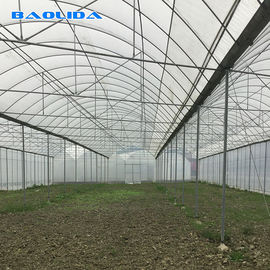 बड़े आकार की प्लास्टिक फिल्म ग्रीनहाउस / कृषि ग्रीनहाउस 20 मीटर - 100 मीटर लंबा