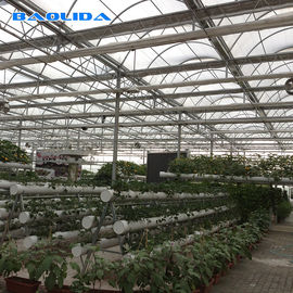गर्म जस्ती संरचना कृषि पॉलीटनल ग्रीनहाउस पवन प्रतिरोधी मल्टी-स्पैन ग्रीनहाउस