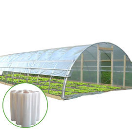 सब्जी उगाने वाली प्लास्टिक फिल्म ग्रीनहाउस / टनल सिंगल स्पैन ग्रीनहाउस