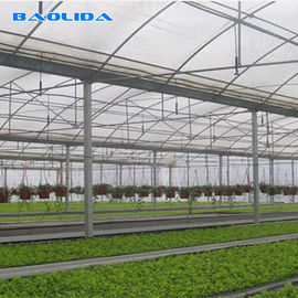 पवन-प्रतिरोधी उच्च गुणवत्ता वाली फसल वृद्धि प्लास्टिक रैप 8 मिल मल्टी स्पैन ग्रीनहाउस