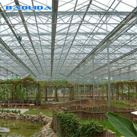 बागवानी के लिए मल्टी स्पैन टनल 8 मिमी पॉली कार्बोनेट शीट ग्रीनहाउस
