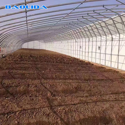 डबल मेहराब डबल फिल्म ग्रीनहाउस 10 मीटर चौड़ाई सुरंग प्लास्टिक ग्रीनहाउस