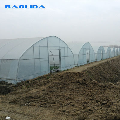सब्जियों के बढ़ने के लिए कृषि 8 मीटर चौड़ाई पीई फिल्म सिंगल-स्पैन टनल प्लास्टिक ग्रीनहाउस