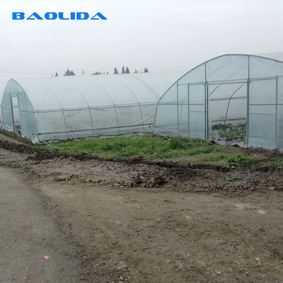 सब्जियों के बढ़ने के लिए कृषि 8 मीटर चौड़ाई पीई फिल्म सिंगल-स्पैन टनल प्लास्टिक ग्रीनहाउस