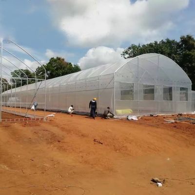फसलों के लिए कृषि वाणिज्यिक औद्योगिक 12 मीटर चौड़ाई विरोधी यूवी पीई प्लास्टिक फिल्म ग्रीनहाउस