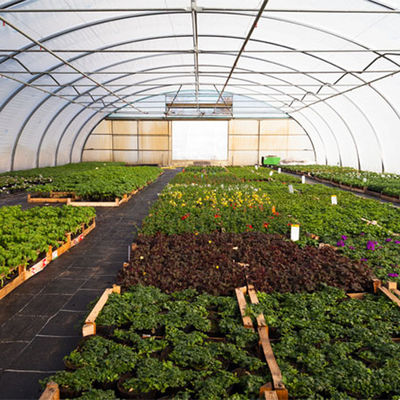 पौधे उगाने के लिए वाणिज्यिक ग्रीनहाउस प्लास्टिक शीट ग्रीनहाउस फिल्म
