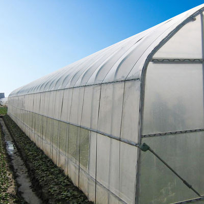 चौड़ाई 8m 9m 10m टनल प्लास्टिक ग्रीनहाउस सब्जियां उगाने के लिए