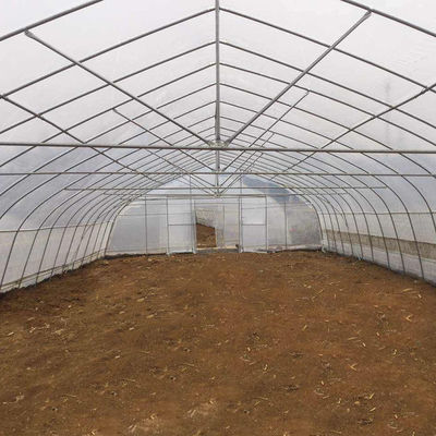चौड़ाई 8m 9m 10m टनल प्लास्टिक ग्रीनहाउस सब्जियां उगाने के लिए