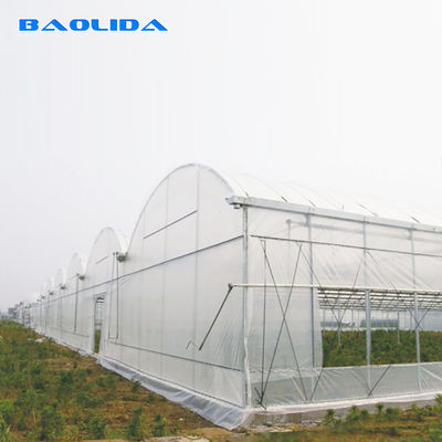 टॉप / साइड वेंटिलेशन के साथ मल्टीस्पैन ग्रीनहाउस कूलिंग सिस्टम उगाने वाले कृषि संयंत्र