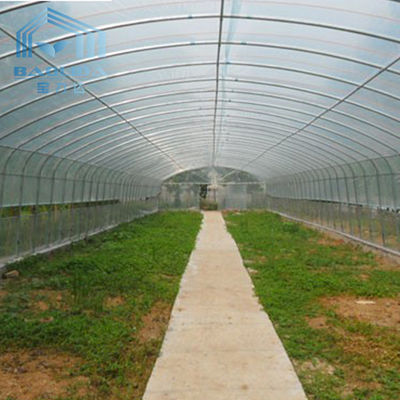 कृषि संयंत्रों की बढ़ती खेती पॉलीथीन फिल्म सिंगल स्पैन टनल प्लास्टिक ग्रीनहाउस