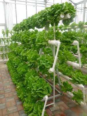 कृषि ग्रीनहाउस के लिए एक प्रकार का टॉवर हाइड्रोपोनिक्स सिस्टम