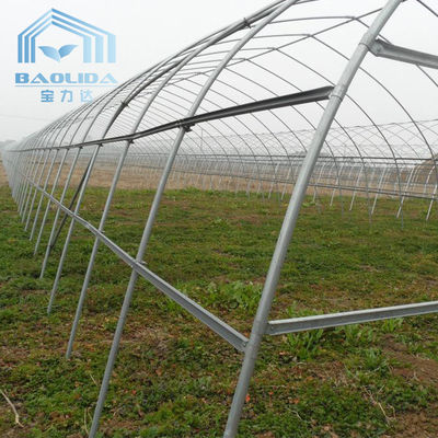 छायांकन प्रणाली के साथ कृषि ककड़ी मिर्च सिंगल स्पैन टनल प्लास्टिक ग्रीनहाउस