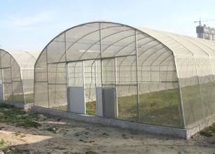 सब्जियों की खेती के लिए सिंगल स्पैन प्लास्टिक टनल ग्रीनहाउस पॉलीथीन फिल्म ग्रीनहाउस