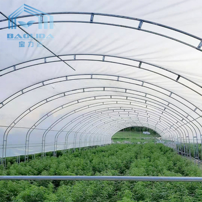 कृषि स्ट्राबेरी उगाने के लिए डबल आर्क साइड वेंटिलेशन सिंगल स्पैन ग्रीनहाउस