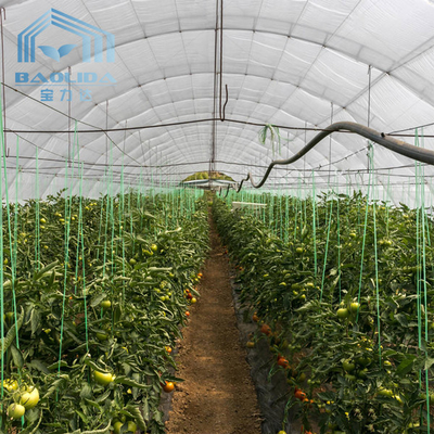 कृषि स्ट्राबेरी उगाने के लिए डबल आर्क साइड वेंटिलेशन सिंगल स्पैन ग्रीनहाउस