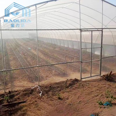 छायांकन प्रणाली के साथ कृषि ककड़ी मिर्च सिंगल स्पैन टनल प्लास्टिक ग्रीनहाउस