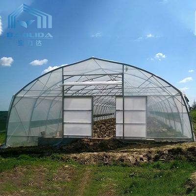 सब्जी उगाने के लिए कृषि प्लास्टिक सुरंग ग्रीनहाउस घेरा ग्रीनहाउस