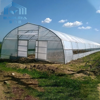 सब्जी उगाने के लिए कृषि प्लास्टिक सुरंग ग्रीनहाउस घेरा ग्रीनहाउस