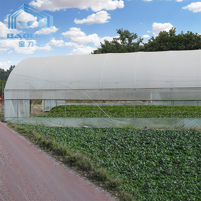 ड्रिप सिंचाई उपकरण के लिए टमाटर पॉली ग्रीनहाउस कृषि सुरंग प्लास्टिक ग्रीनहाउस