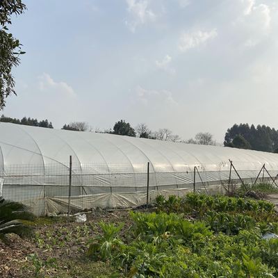 ट्रॉपिकल सिंगल स्पैन प्लास्टिक शेड ग्रीनहाउस कृषि सुरंग पारदर्शी