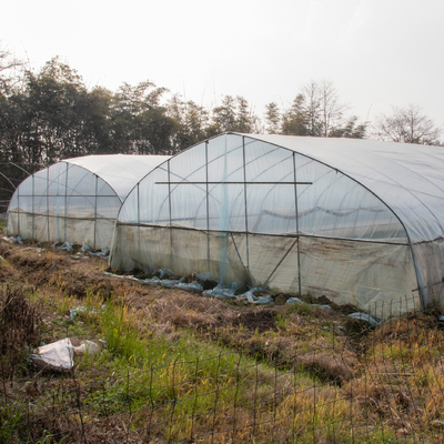 ट्रॉपिकल सिंगल स्पैन प्लास्टिक शेड ग्रीनहाउस कृषि सुरंग पारदर्शी