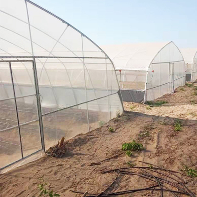 ड्रिप सिंचाई प्रणाली के साथ सिंगल स्पैन प्लास्टिक पीई फिल्म कृषि सुरंग ग्रीनहाउस