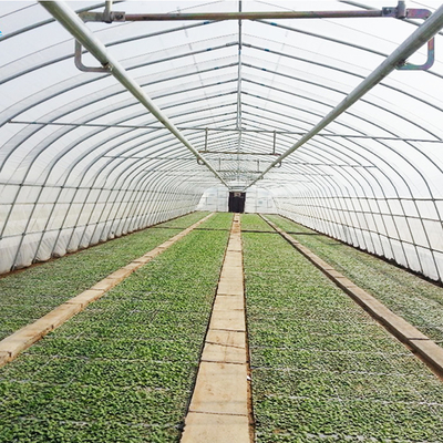 सिंगल-स्पैन आर्क पॉलीथीन फिल्म कद्दू 6 मीटर हाई टनल प्लास्टिक ग्रीनहाउस पौधों के बढ़ने के लिए