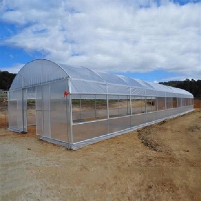 उष्णकटिबंधीय सुरंग प्लास्टिक ग्रीनहाउस / अनुकूलित कृषि ग्रीनहाउस