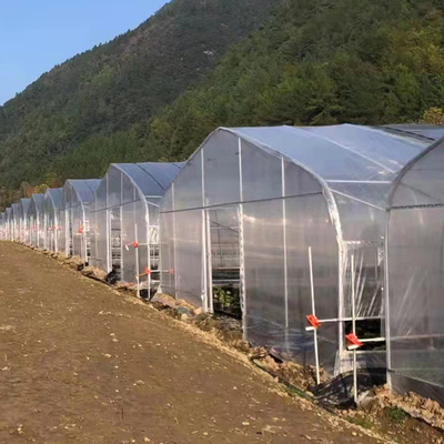 200 माइक्रो पीई फिल्म टनल प्लास्टिक सिंगल स्पैन ग्रीनहाउस कृषि संयंत्रों के लिए बढ़ रहा है