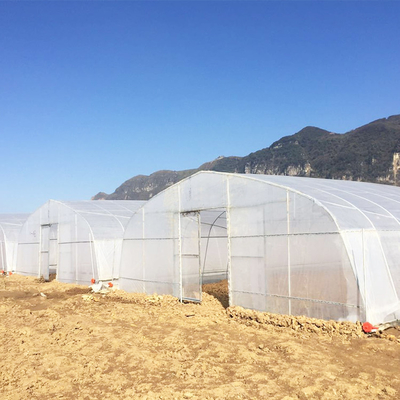 कृषि परियोजना के लिए हाई टनल 150 माइक्रोन पीई फिल्म सिंगल स्पैन ग्रीनहाउस: