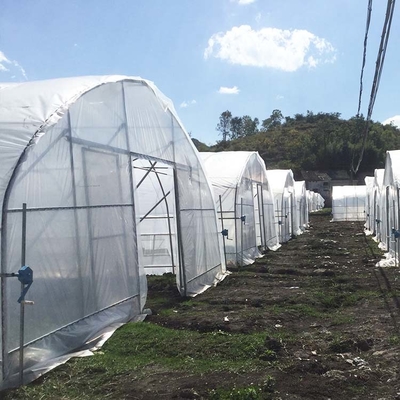 कृषि परियोजना के लिए हाई टनल 150 माइक्रोन पीई फिल्म सिंगल स्पैन ग्रीनहाउस: