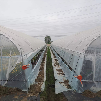 कृषि के लिए शीतलन प्रणाली के साथ पीई प्लास्टिक फिल्म ग्रीनहाउस