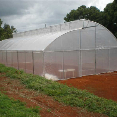 स्ट्रॉबेरी उगाने के लिए चौड़ाई 10 मीटर 8 मीटर टनल प्लास्टिक सॉवोथ टॉप वेंट ग्रीनहाउस