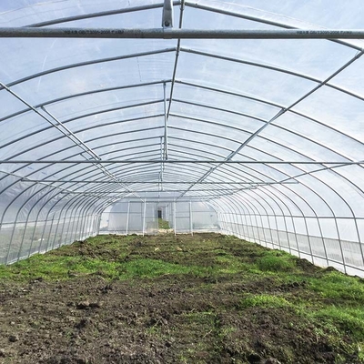 कृषि सिंगलस्पैन टनल प्लास्टिक फिल्म ट्रॉपिकल ग्रीनहाउस