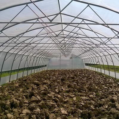 शीट कवरिंग शेड कृषि सिंगल स्पैन प्लास्टिक टनल ग्रीनहाउस