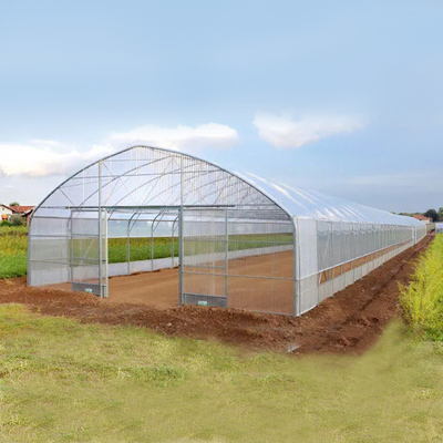 बड़े आकार के प्लास्टिक पॉली टेक ग्रीनहाउस / कृषि सिंगल स्पैन ग्रीनहाउस