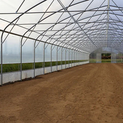 टमाटर की खेती के लिए 30 मीटर लंबाई सिंगल स्पैन प्लास्टिक शीटिंग फिल्म ग्रीनहाउस: