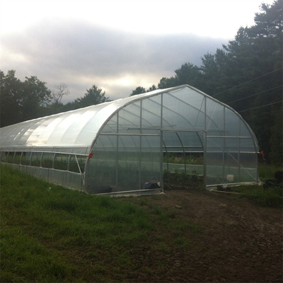 स्ट्रॉबेरी उगाने के लिए 300 वर्ग मीटर टनल प्लास्टिक व्हाइट सिंगल स्पैन ग्रीनहाउस