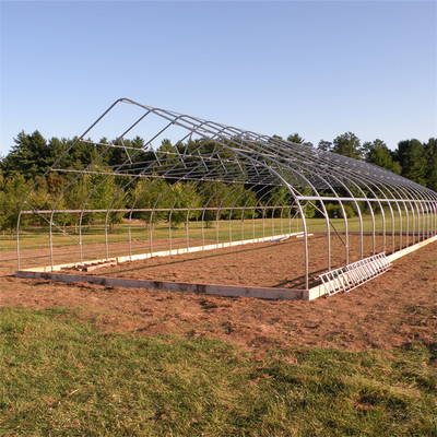स्ट्रॉबेरी उगाने के लिए 300 वर्ग मीटर टनल प्लास्टिक व्हाइट सिंगल स्पैन ग्रीनहाउस