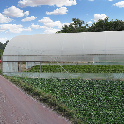 पॉली टनल स्टील फ्रेम डबल फिल्म के साथ कृषि प्लास्टिक सिंगल स्पैन ग्रीनहाउस